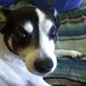 Meet your Posher, Gina